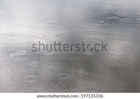 Raindrops come in contact with standing water on the ground.
