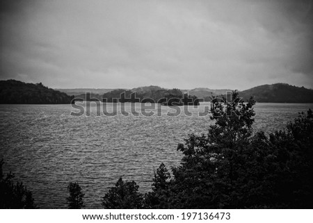 A sea view with foliage in black and white.