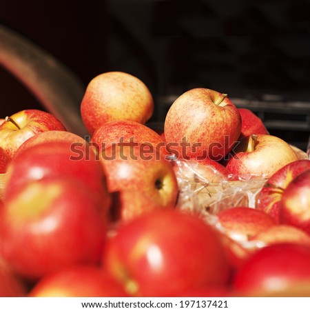 A whole bunch of red, ripe apples with stems.