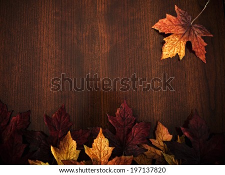 A collection of autumn leaves an a stained wooden surface.