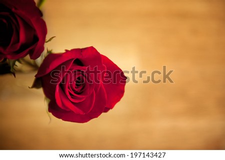 Two roses with red petals and green stems.