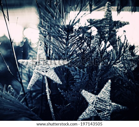 Hand-made star picks decorate the top of a long-needled pine tree.