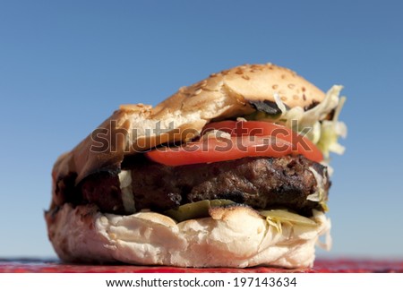 A large hamburger patty on a bun with lettuce and tomato.