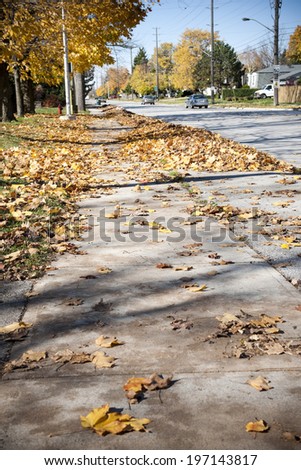 A city street with fallen leaves piled along one side.