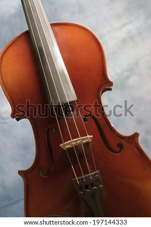 A wooden stringed instrument body with four strings.