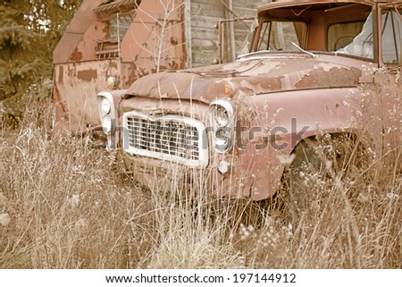 A rusty truck and recreational vehicle parked in a patch of overgrown grass.
