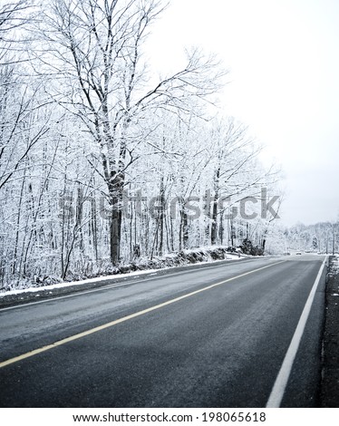 A straight long road travels past snow covered trees.