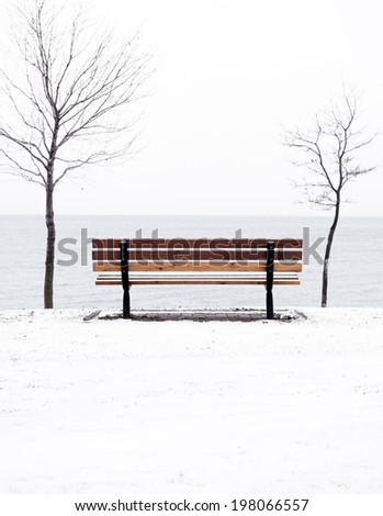 A wooden bench between two bare trees on the edge of a body of water.