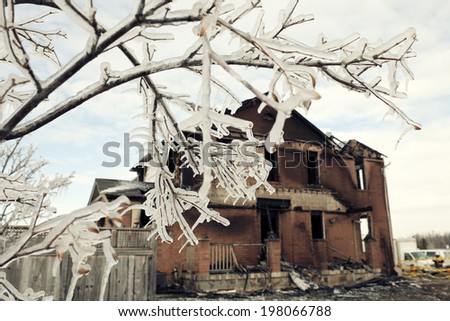 Tree branches covered in ice near a rundown house.