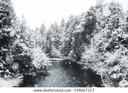 A flowing river lined by snow covered trees.
