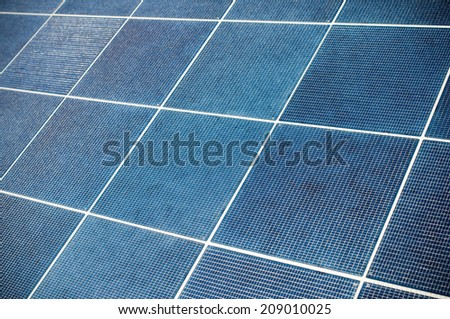Blue and white checked floor tiling
