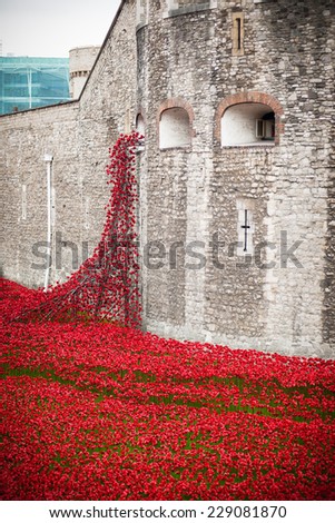 London, England - September 29, 2014: Close to one million ceramic hand-placed poppies form part of the Tower of London Remembrance Display marking the centenary of the outbreak of WWI.