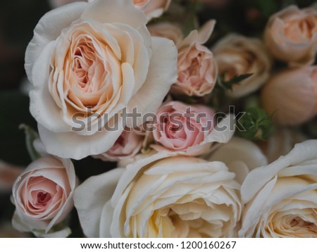 Pink roses. Rose bouquet. Vintage flower arrangement.