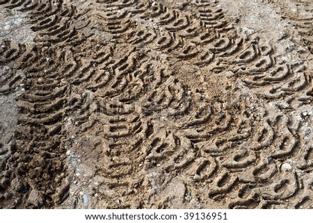 tire tracks in the mud