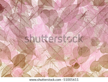 background color pink. leaf ackground pink color