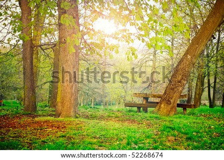 picnic place