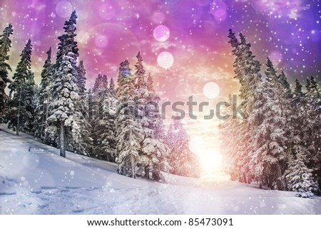 Vivid winter landscape