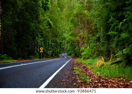 windy road sign