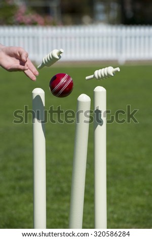 Hand throws ball at the cricket stumps as bails fly off  on grass field