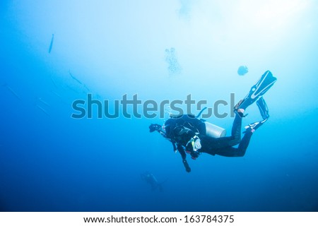 diving with  group baracuda fishes