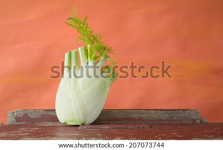 fresh fennel on red background, free copy space