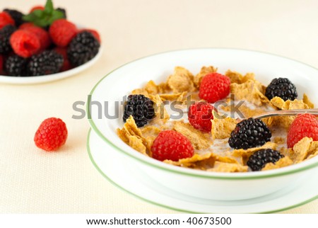 Bowl of cereal with wild berries