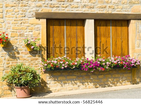 Windows with flower box in France