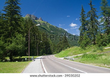 Road Between Trees