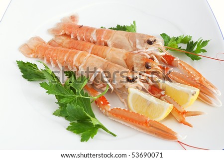 closeup of three prawns with parsleyand lemon on a white plate isolated on white background