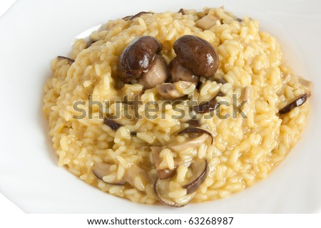 plate of risotto with mushrooms isolated on white background with clipping path