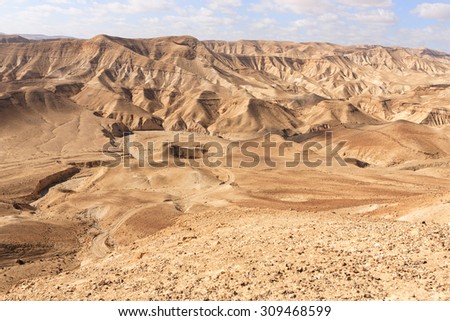 Israeli Desert