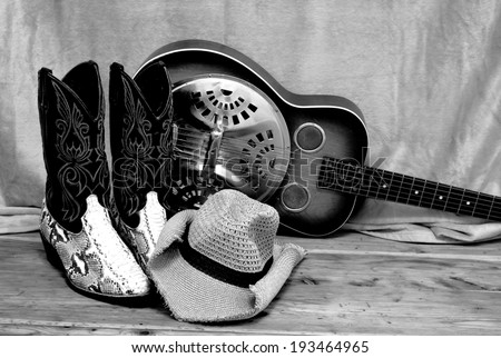 snakeskin cowboy boot with a cowboy hat and a dobro