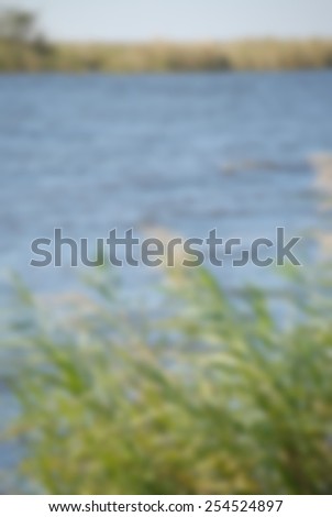 A blurred background image of natural setting. Green sea grasses are blowing on the side of a blue lake or riverbank. Vertical composition appears to be in a remote or rural area.