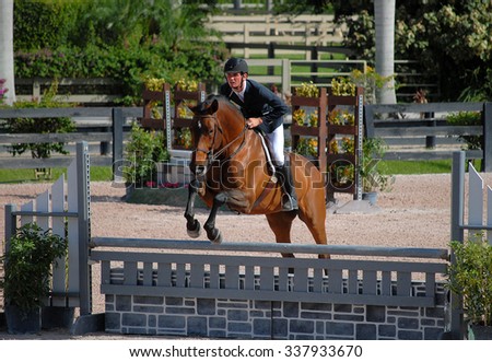 WELLINGTON, FLORIDA - November 7, 2015: an unidentified rider on a bay horse clearing a jump in the hunter ring at the ESP November competition held at the Palm Beach International Equestrian Center