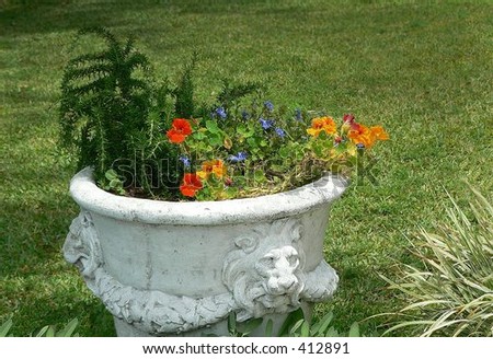 Container garden in ancient looking stone urn on bright sunny day with grass background good for DIY and landscaping