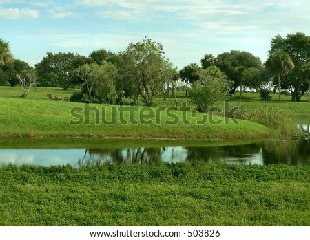 Old growth trees dotting rolling pasture with pond