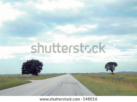COuntry road with distant trees