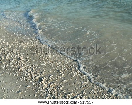 Gentle wave of seafoam at shell covered beach