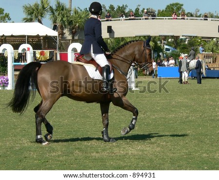 Bay horse and rider on grassy field with spectators in the distance