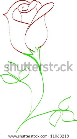 white rose drawing. line drawing of rose bud
