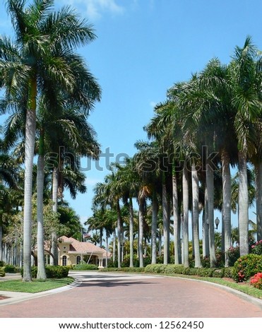 Entry driveway to upscale American residential community. The brick road is lined with tall, Royal Palm trees and leads to a guardhouse for the gated community. It is a sunny day with a blue sky.