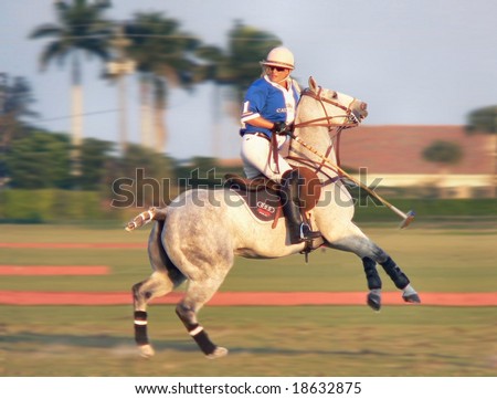 Melissa Ganzi, women\'s champion polo player for team Audi, in action in Wellington, Florida. Image has motion blur as she stops her horse to turn around.  Horse is rearing slightly. Team shirt is blue