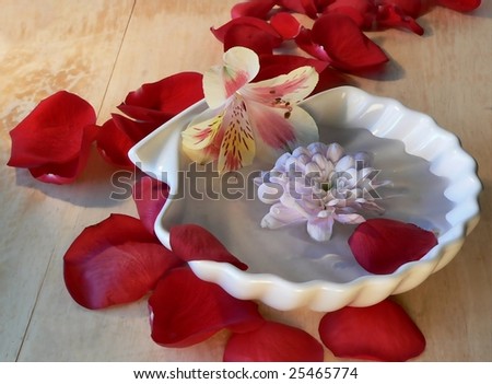 Spa-type still life of flowers and rose petals floating in a shell-shaped bowl of water