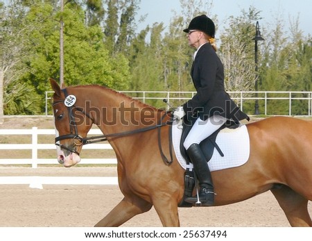 Jean Nix and Solar Flare, competing in the Gold Coast Dressage Opener Festival