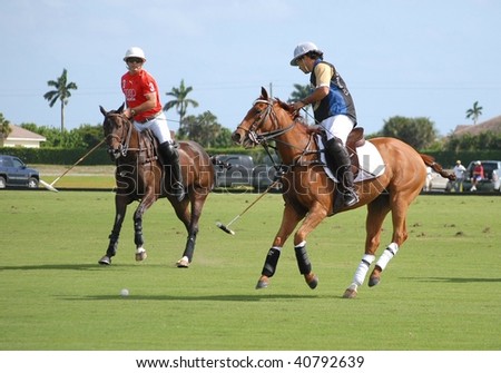 WELLINGTON, FL - NOVEMBER 8:  Polo teams Audi and Grand Champions Polo Club competing in the Wanderer\'s Cup finals November 8, 2009 in Wellington, FL