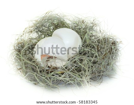 Broken egg with small amount of change or coins laying in nest of moss - concept bad economy and savings or nest-egg is nearly gone