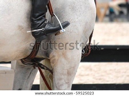 detail of girth, stirrup and boot on white horse - a study in similar lines in horse\'s skin, creases in boot and wood grain of post behind
