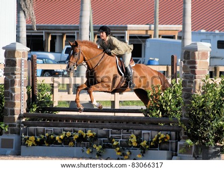 WELLINGTON, FLORIDA - AUGUST 13: An unidentified rider takes a fence at the South Florida Hunter Jumper Association\'s Summer Series on August 13, 2011 in Wellington, Florida.