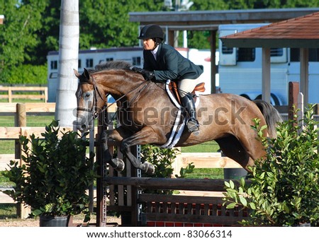 WELLINGTON, FLORIDA - AUGUST 13: An unidentified rider takes a fence at the South Florida Hunter Jumper Association's Summer Series on August 13, 2011 in Wellington, Florida.