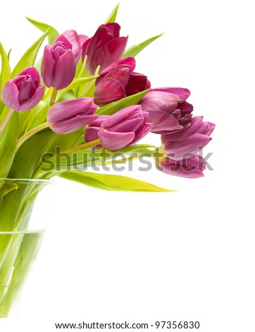 Tulips In Water